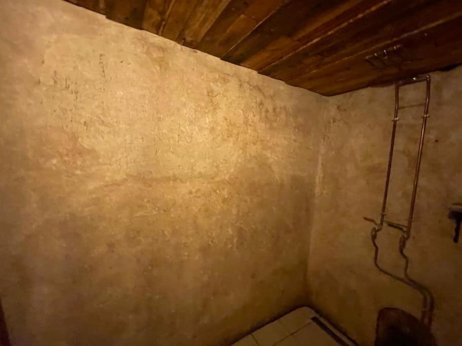 Maison Vigneron - Maison Et Studio Saint-Didier-sur-Beaujeu エクステリア 写真