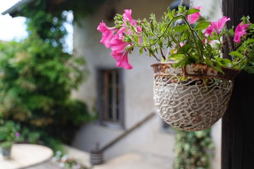 Maison Vigneron - Maison Et Studio Saint-Didier-sur-Beaujeu エクステリア 写真