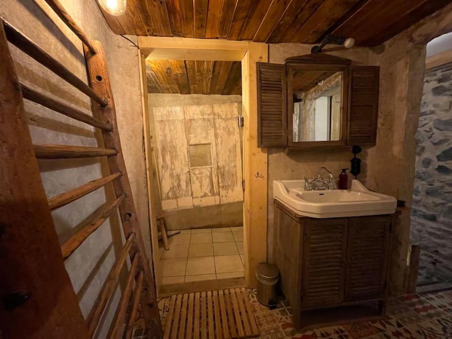 Maison Vigneron - Maison Et Studio Saint-Didier-sur-Beaujeu エクステリア 写真